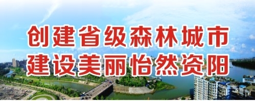 男人日批网站创建省级森林城市 建设美丽怡然资阳